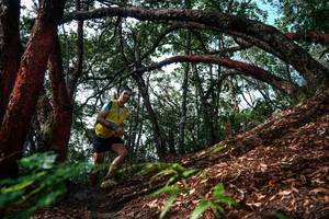 BIB: 
                            <button type="button" onclick="openModal(26346968)" class="btn btn-primary btn-sm float-right btn-popup" data-toggle="modal" data-target=".modal-high-quality">
                        <i class="fas fa-shopping-cart"></i> Add to Cart
                    </button>
                                            <button type="button" onclick="isThisMe(26346968, true)" class="btn btn-success btn-sm float-right btn-popup btn-isme hidden" data-toggle="tooltip" data-placement="bottom" title="นี่คือรูปของคุณใช่ไหม คลิกที่นี่เพื่อเอาเข้าอัลบั้ม">
                        <i class="fas fa-plus"></i> Add to album
                    </button>
                    <button type="button" onclick="isThisMe(26346968, false)" class="btn btn-warning btn-sm float-right btn-popup btn-isnotme hidden">
                        <i class="fas fa-ban"></i> Remove from album
                    </button>